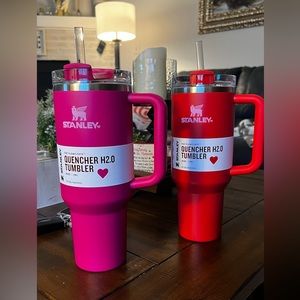 Valentine’s Day Stanley!